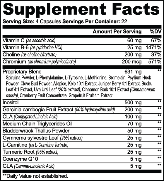 burner Fat Burner with MCT – Bild 2